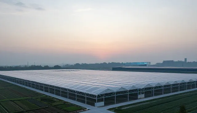 设计选型与维护建议:账号代运营性能与适用条件