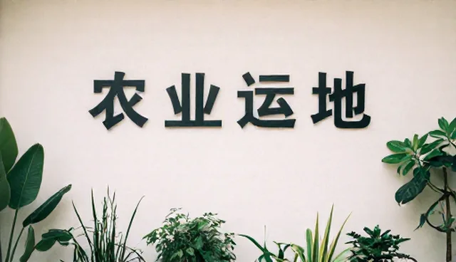 直播运营中常见误区与实际应用场景分析